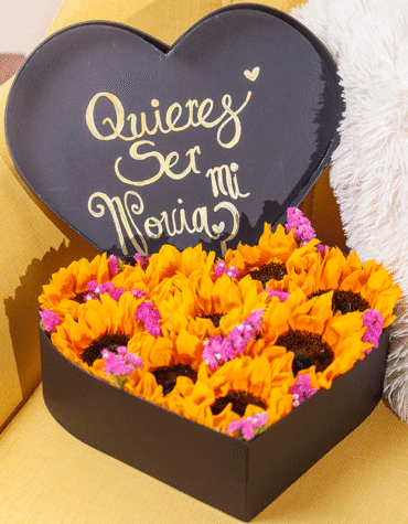 Sunflowers and Statis