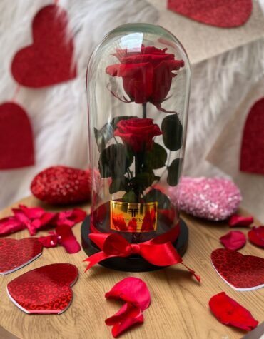 Dúo rosa preservada