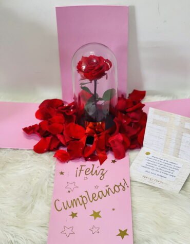 Rosa preservada luxury