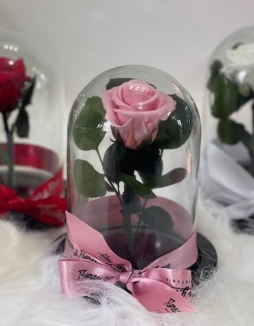 Mini rosa preservada