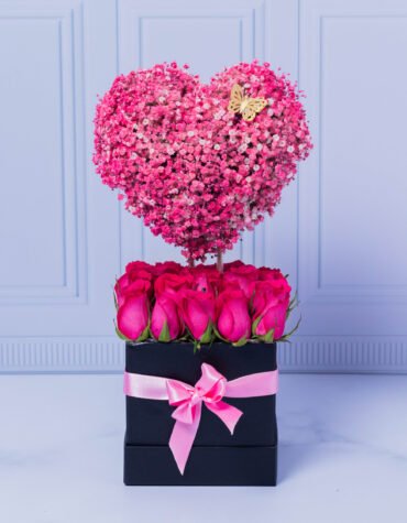 Heart with yixophilia