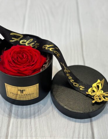 Preserved rose in a box