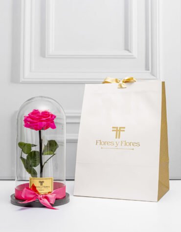 Rosa preservada premium