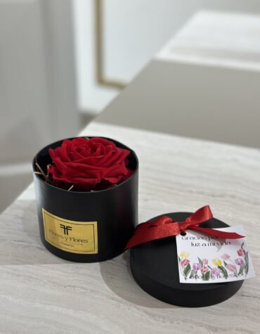 PRESERVED RED ROSE