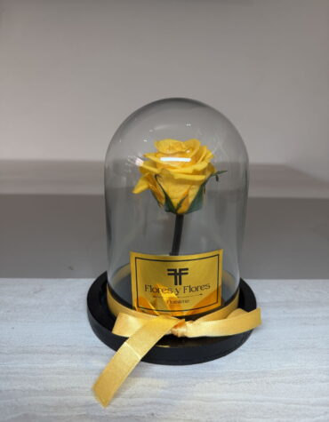 MINI PRESERVED YELLOW ROSE