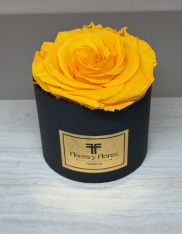 SPRING PRESERVED ROSE